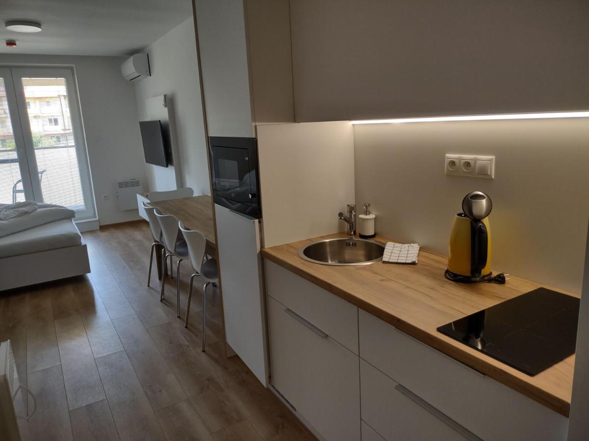 Apartman Kyjev Bellegszencse Kültér fotó